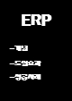 ERP 개념과 시스템분석,도입효과분석및 ERP 기업 도입 성공,실패사례분석및 ERP 향후방향제시